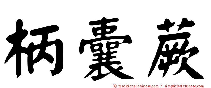 柄囊蕨