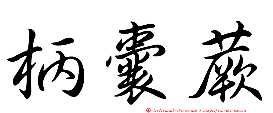 柄囊蕨