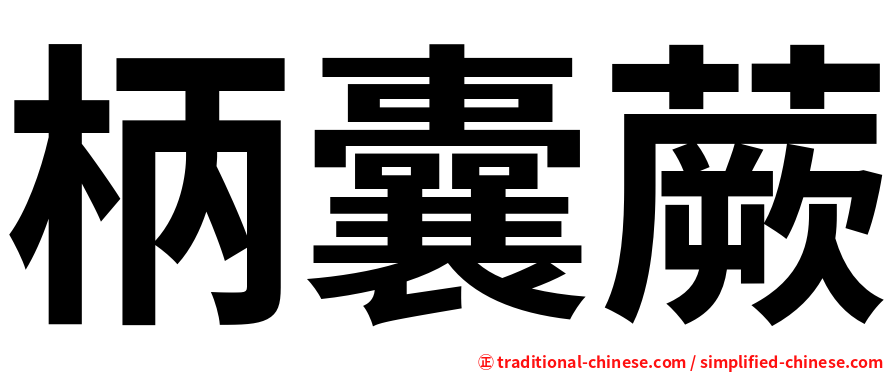 柄囊蕨