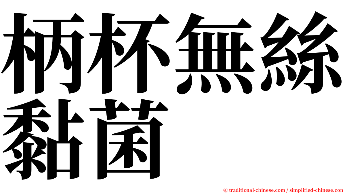 柄杯無絲黏菌 serif font