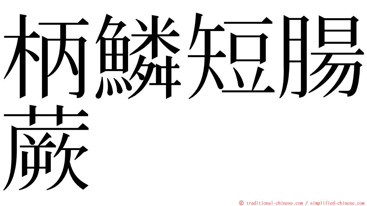 柄鱗短腸蕨 ming font