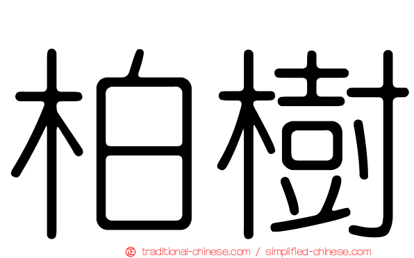 柏樹