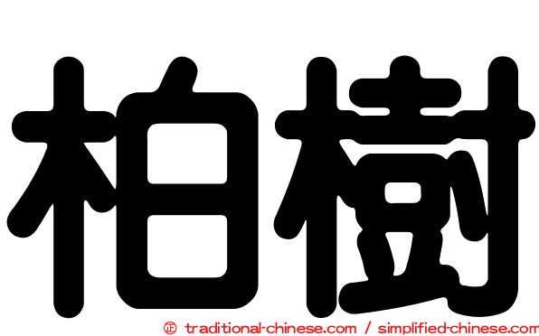 柏樹