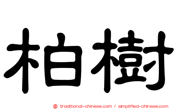 柏樹