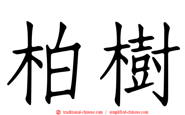 柏樹