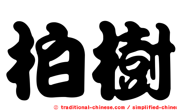 柏樹