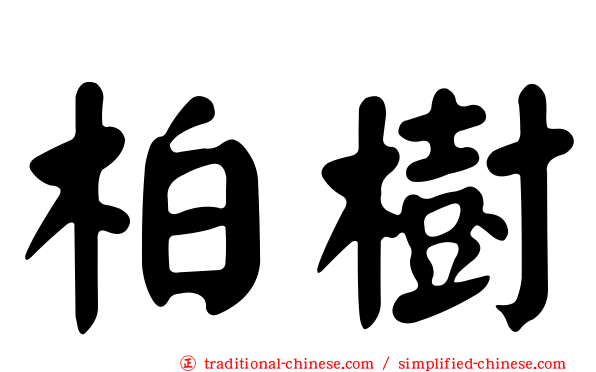 柏樹