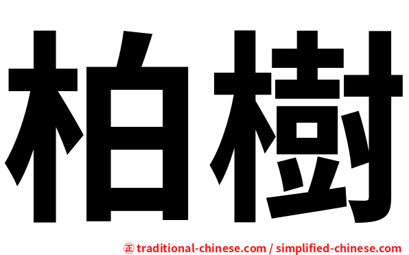 柏樹
