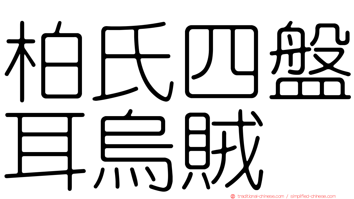 柏氏四盤耳烏賊