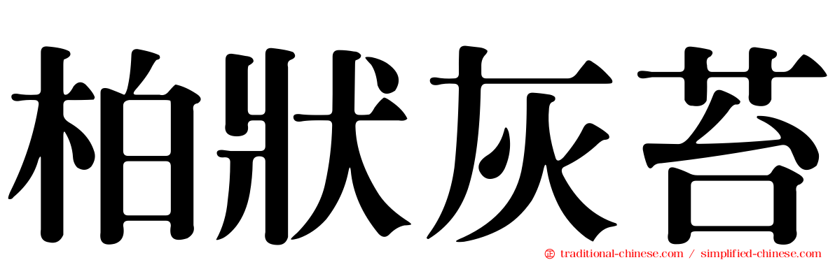 柏狀灰苔