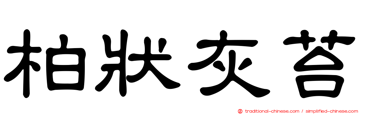 柏狀灰苔