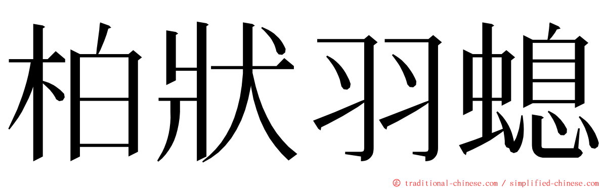 柏狀羽螅 ming font