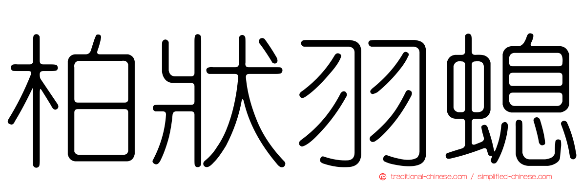 柏狀羽螅