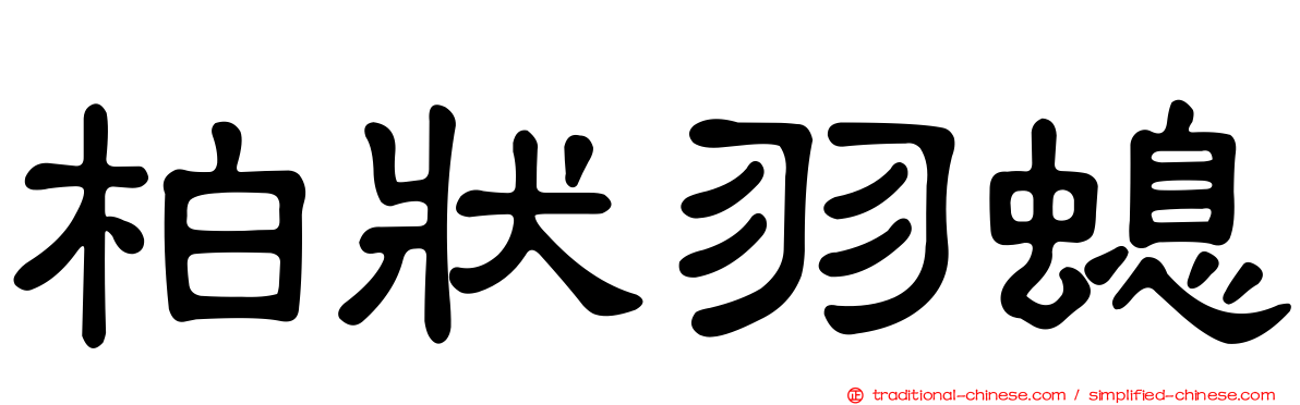 柏狀羽螅