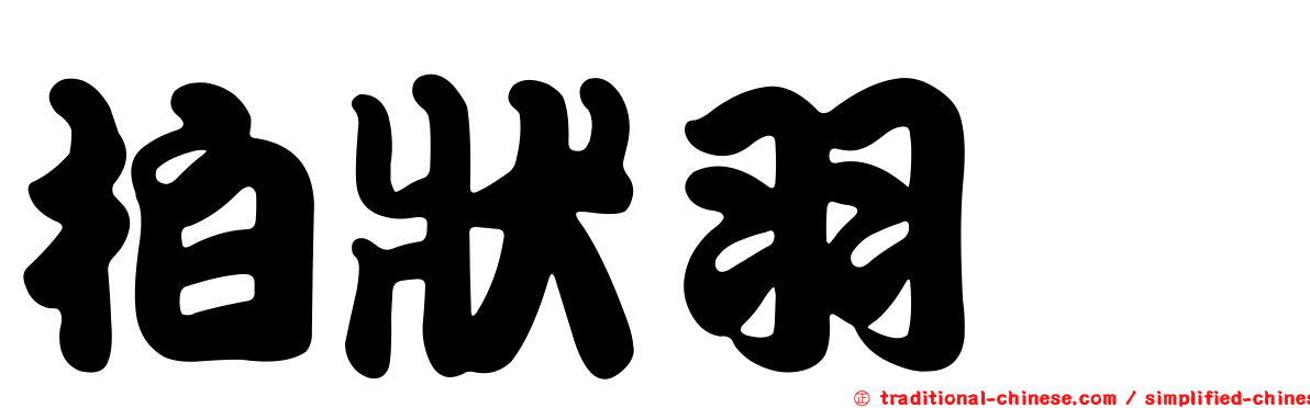 柏狀羽螅