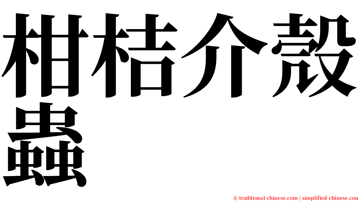 柑桔介殼蟲 serif font