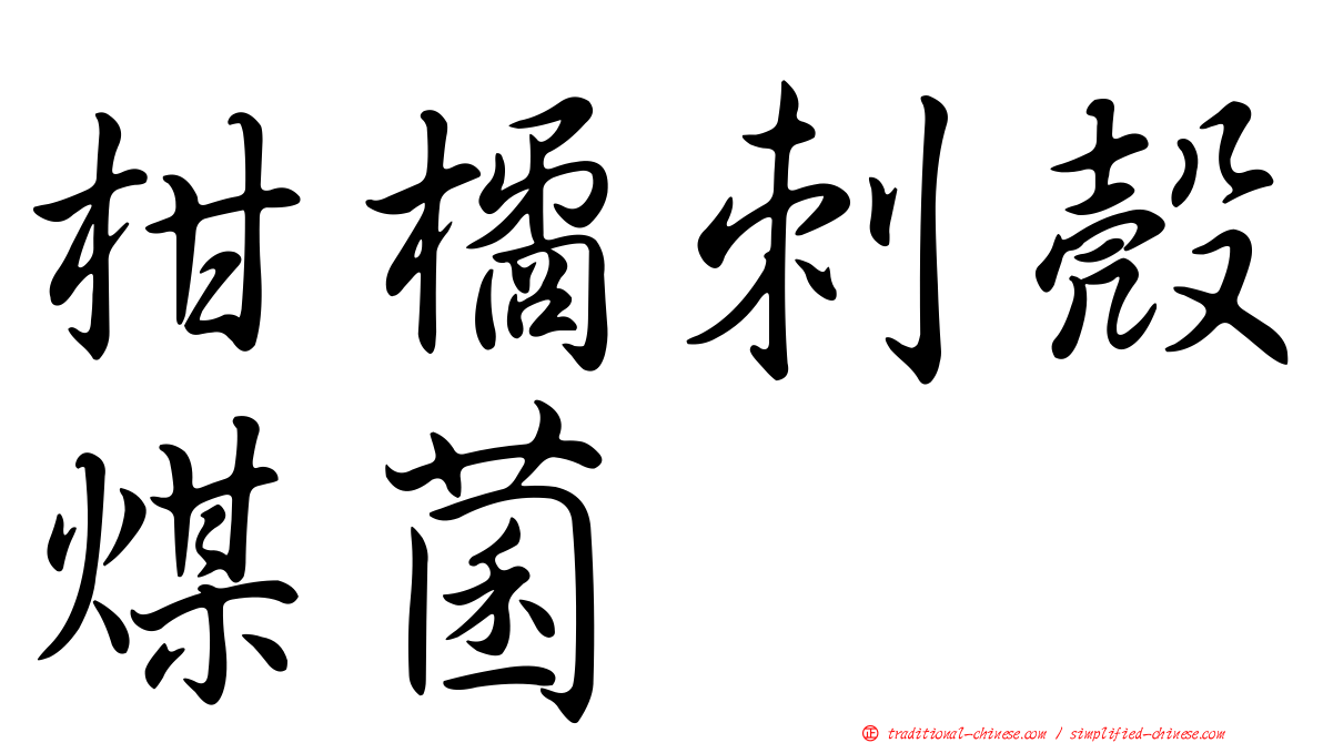柑橘刺殼煤菌