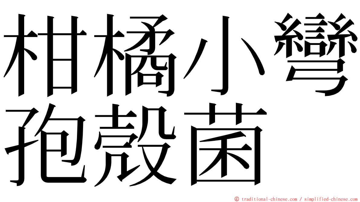 柑橘小彎孢殼菌 ming font