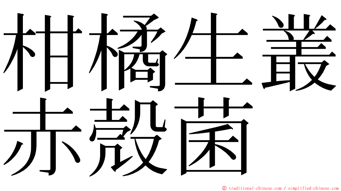 柑橘生叢赤殼菌 ming font