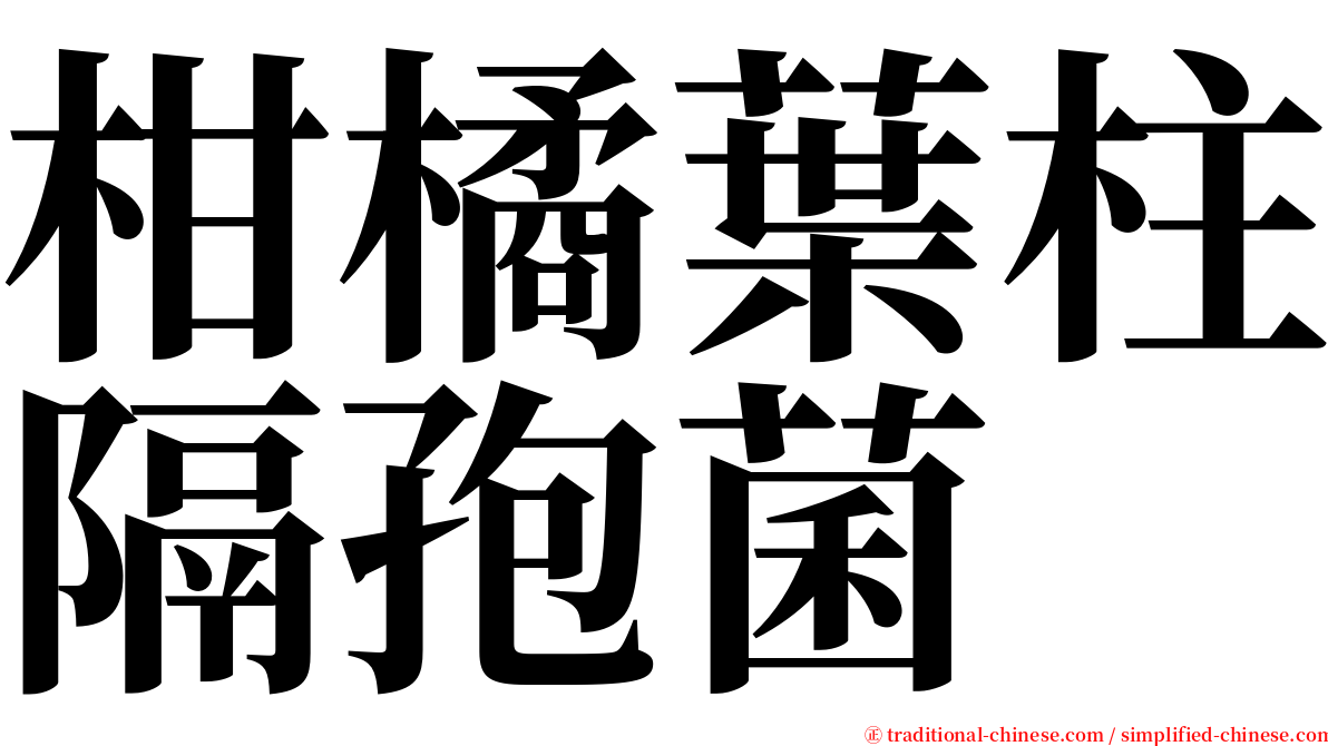 柑橘葉柱隔孢菌 serif font