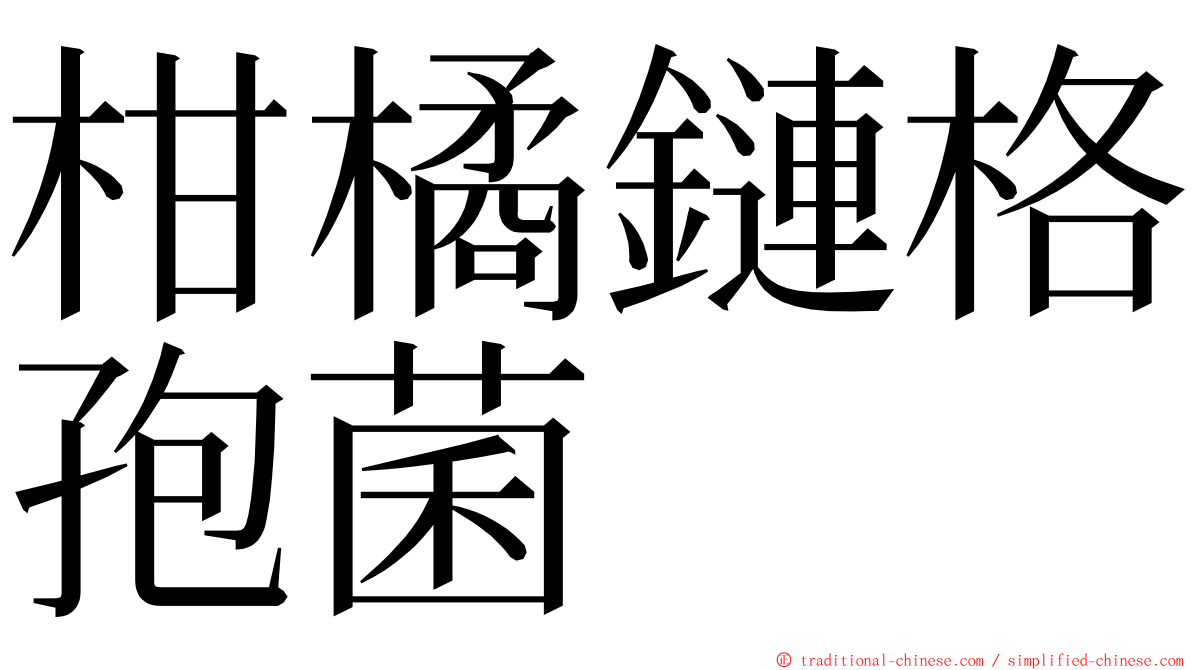 柑橘鏈格孢菌 ming font