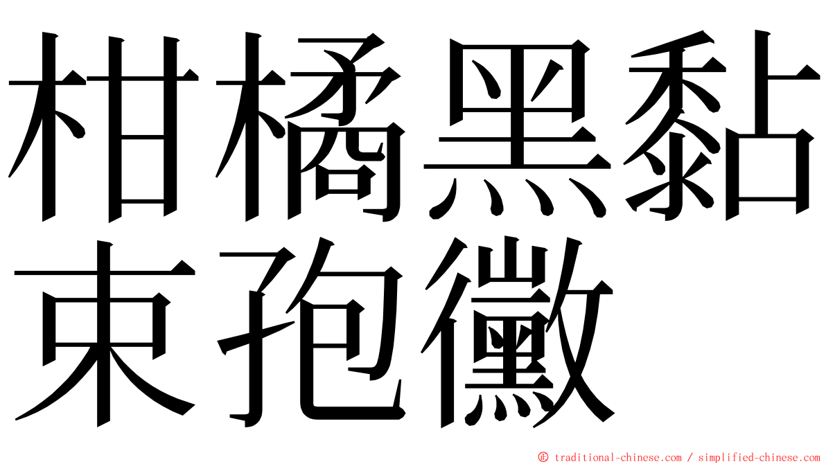 柑橘黑黏束孢黴 ming font