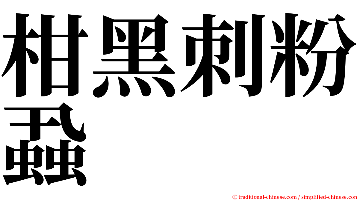 柑黑刺粉蝨 serif font