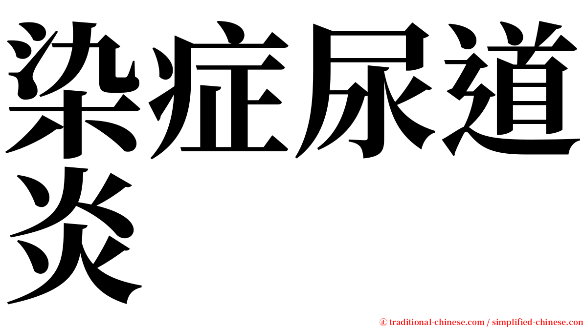 染症尿道炎 serif font