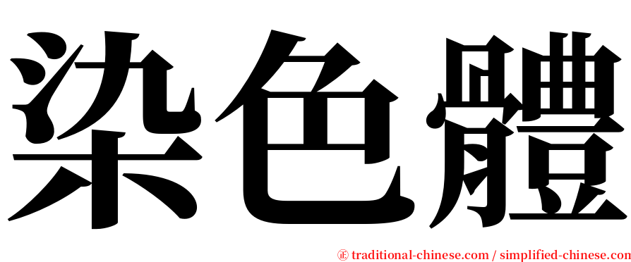 染色體 serif font