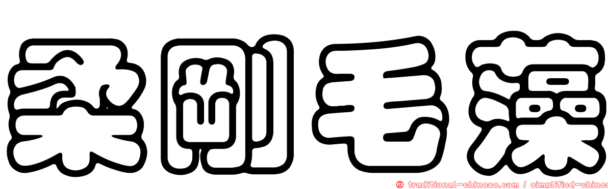 柔剛毛藻
