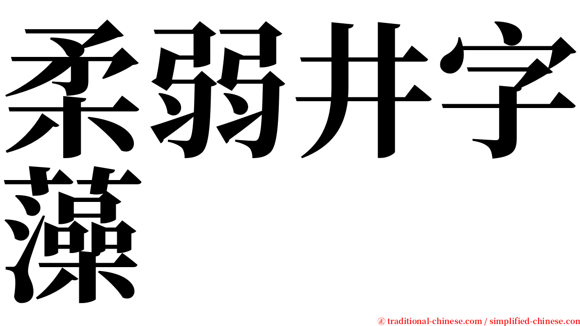 柔弱井字藻 serif font