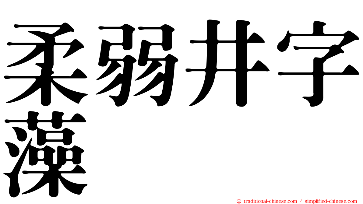 柔弱井字藻