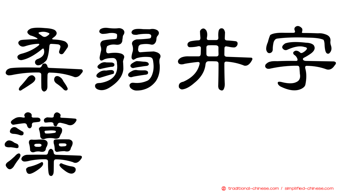 柔弱井字藻