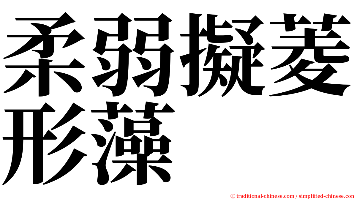 柔弱擬菱形藻 serif font