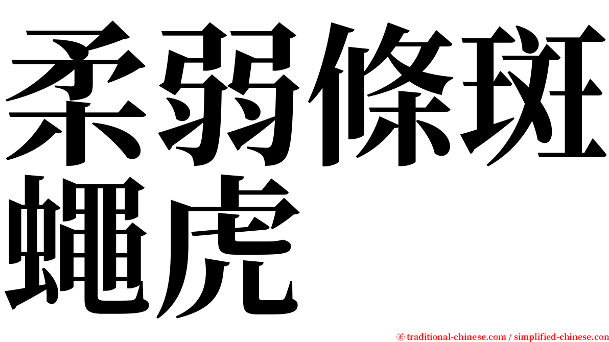 柔弱條斑蠅虎 serif font