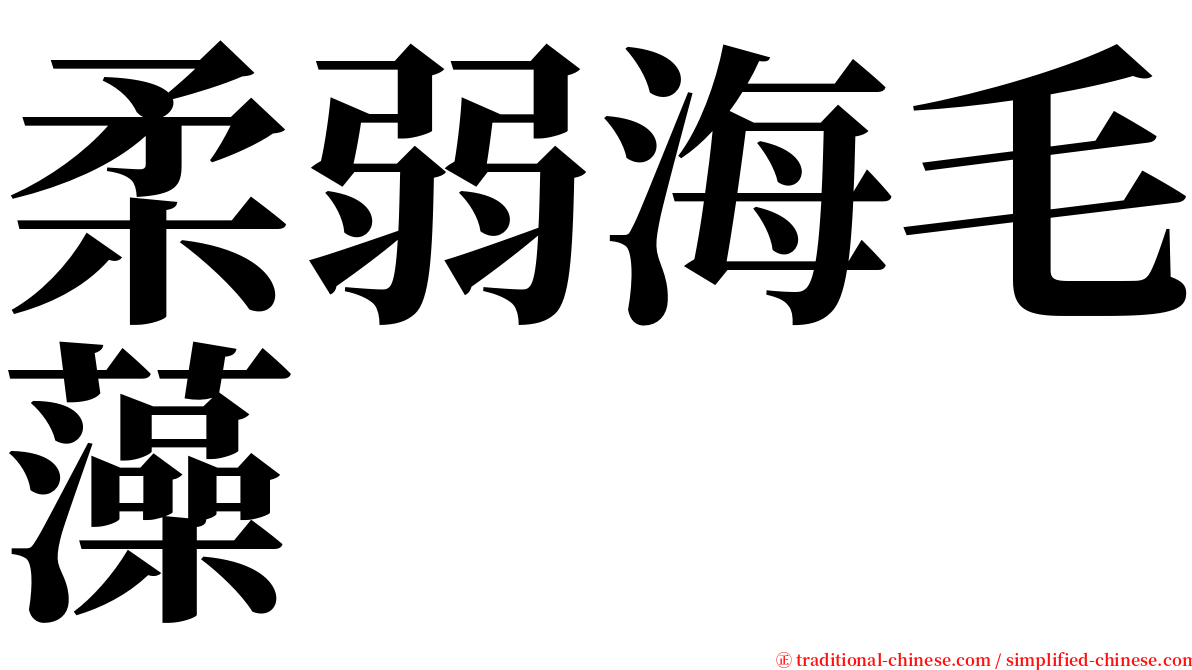 柔弱海毛藻 serif font