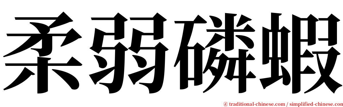 柔弱磷蝦 serif font