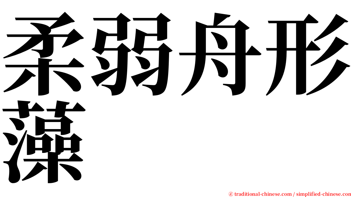 柔弱舟形藻 serif font