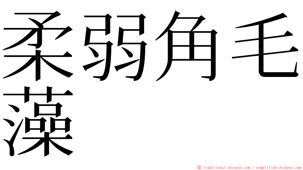 柔弱角毛藻 ming font