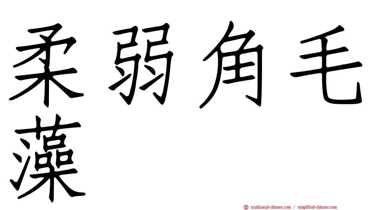 柔弱角毛藻