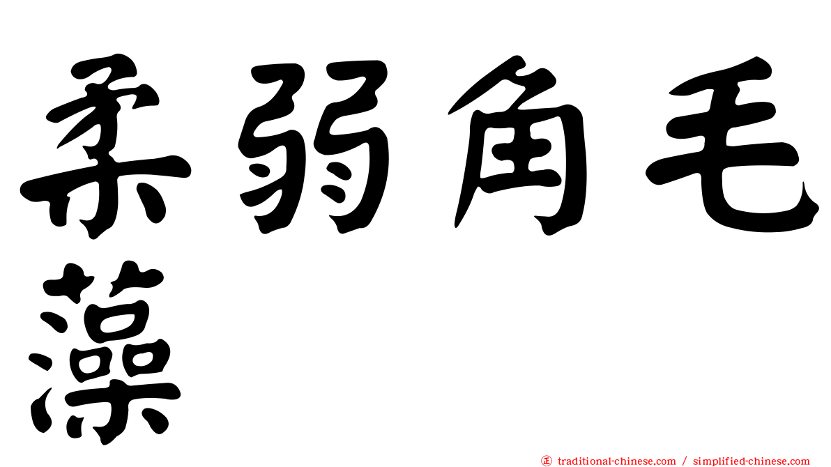 柔弱角毛藻