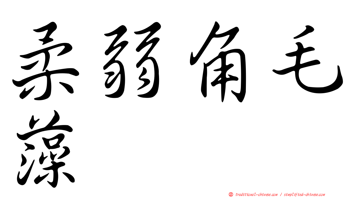 柔弱角毛藻