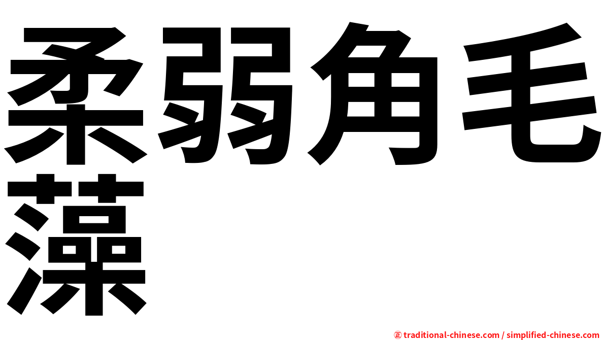 柔弱角毛藻