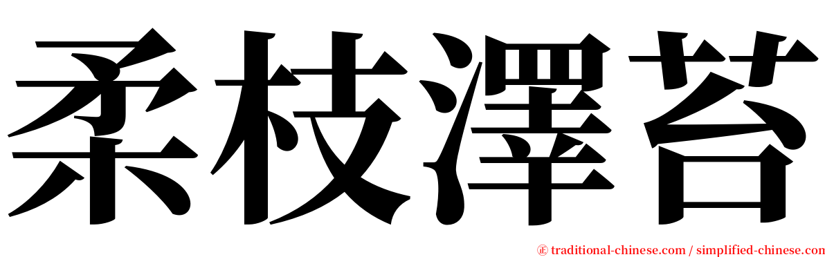 柔枝澤苔 serif font