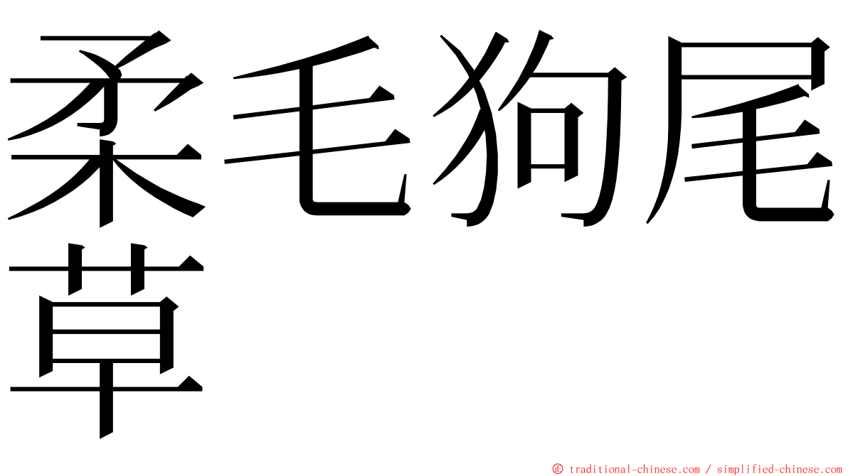 柔毛狗尾草 ming font