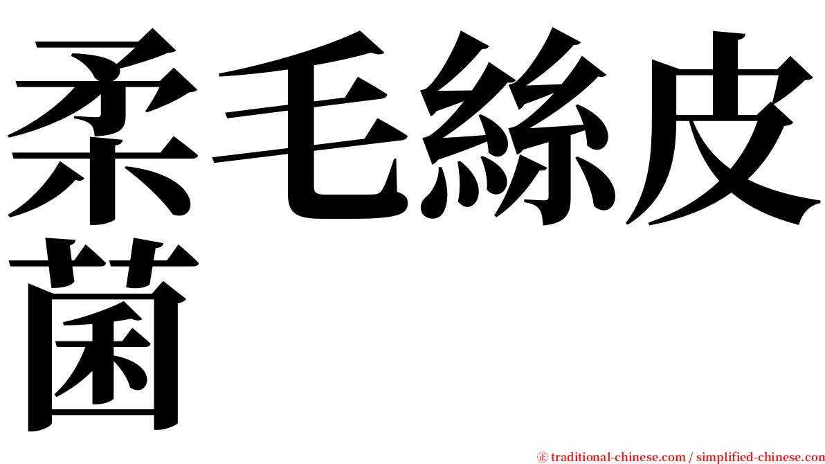 柔毛絲皮菌 serif font