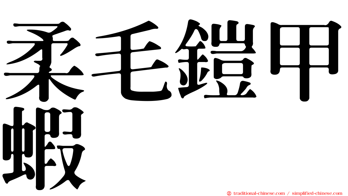 柔毛鎧甲蝦