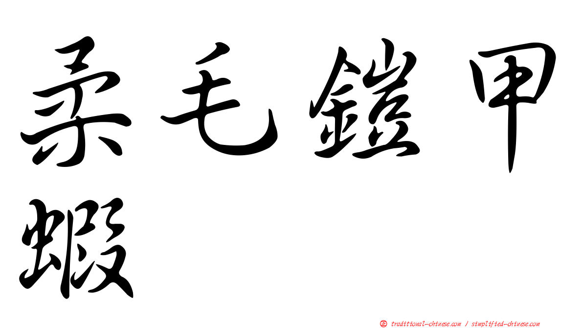 柔毛鎧甲蝦