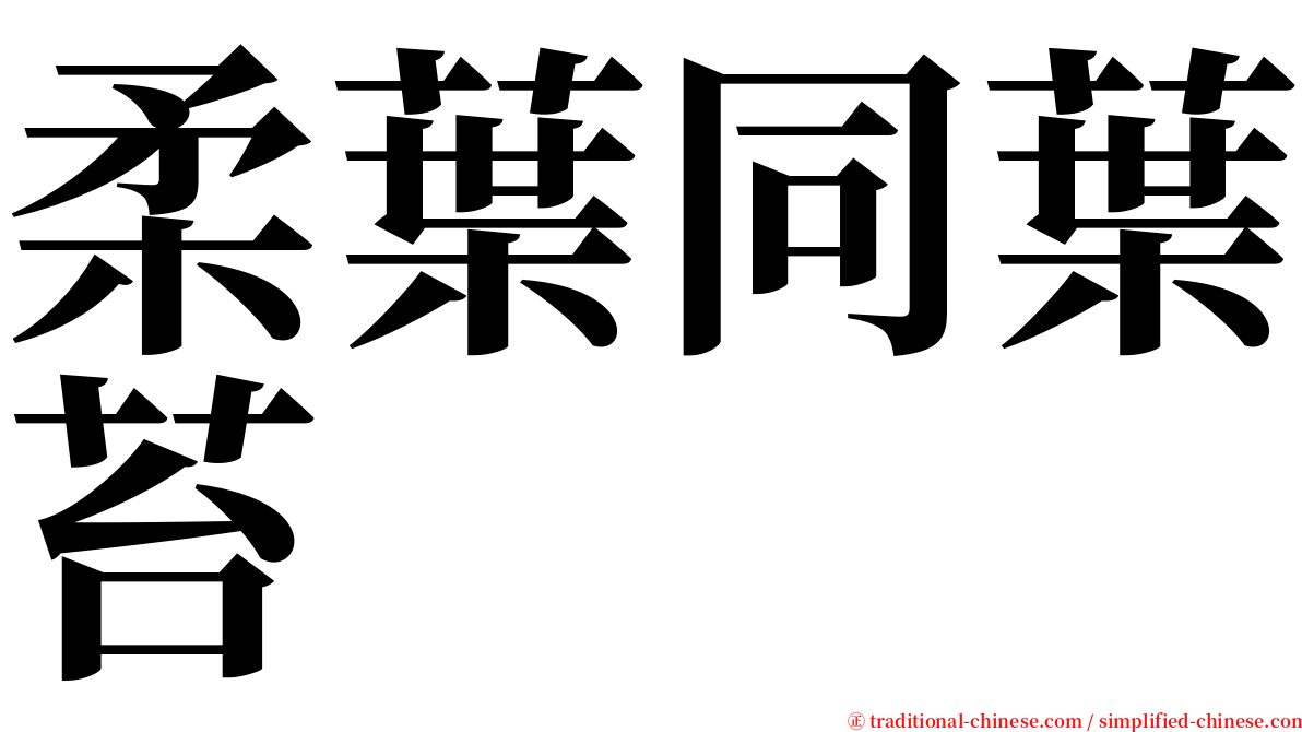 柔葉同葉苔 serif font