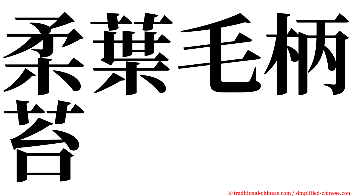 柔葉毛柄苔 serif font